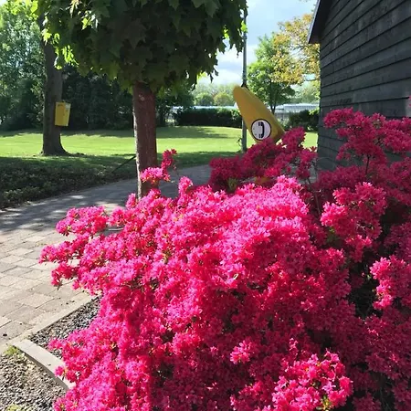 De Prinsenhof Bed & Breakfast *