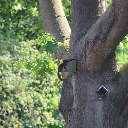 B&B De Prinsenhof *